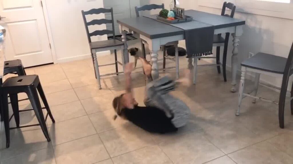 Quarantine drilling :(