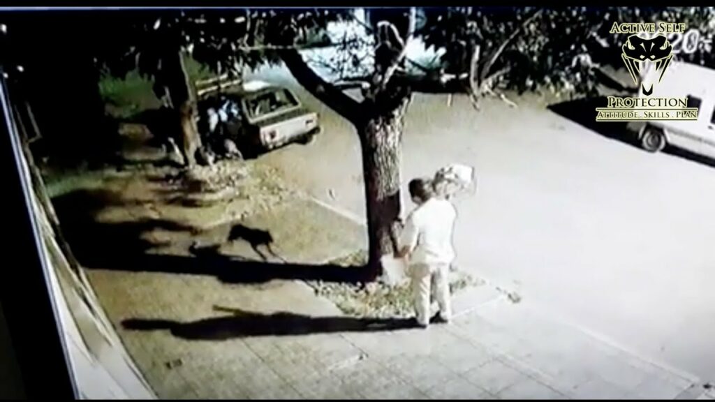 Questionable Firearm Use Against Aggressive Dog