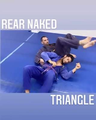 Rear Naked Triangle by @animalblackbelt