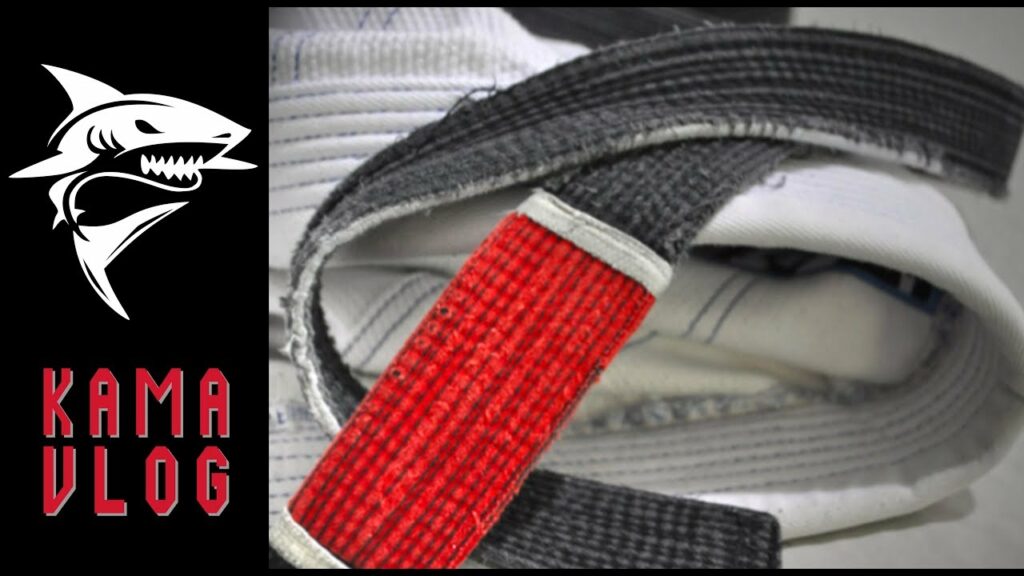 Responsibilities and Honor of a BLACK BELT? - Kama Vlog