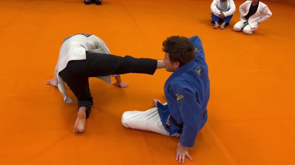 Reverse De La Riva off Balance with Stand and Base Sweep