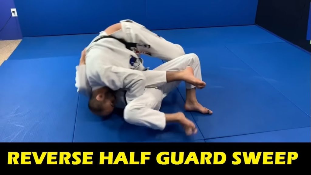 Reverse Half Guard Sweep by Masahiro Iwasaki