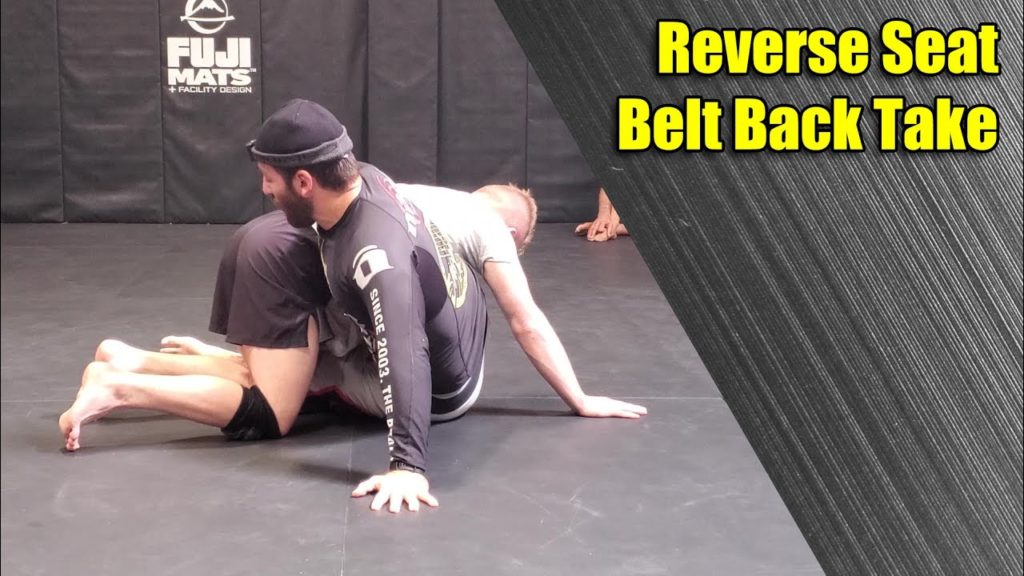 Reverse Seat Belt to Back