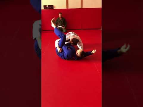 Rolling Truck to Banana Splits