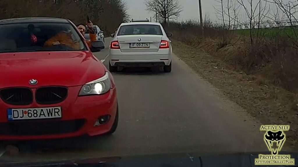 Romanian Knucklehead Road Rages On Motorist