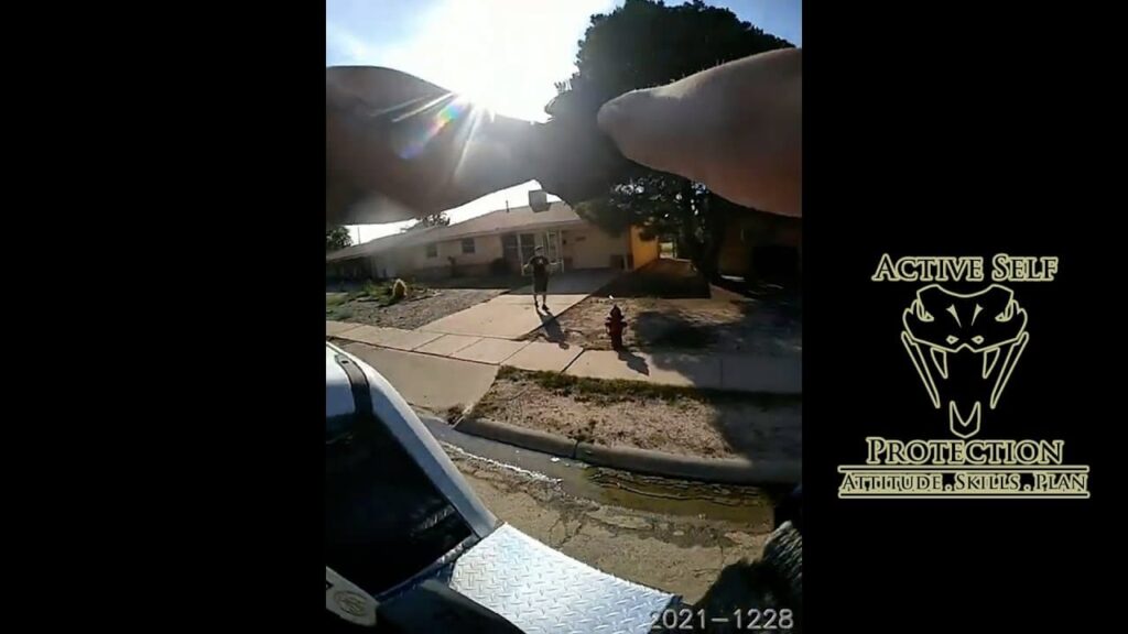 Roswell Deputies Chase DV Suspect Who Hit His Girlfriend With Her Gun