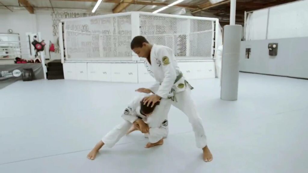 Ruotolo Twins - Single leg defense