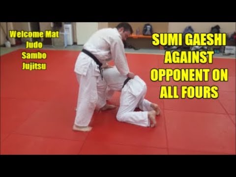 SUMI GAESHI AGAINST OPPONENT ON ALL FOURS