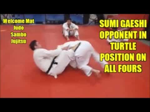 SUMI GAESHI OPPONENT IN TURTLE POSITION ON ALL FOURS