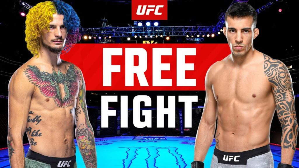Sean O'Malley vs Thomas Almeida | FREE FIGHT | UFC 280