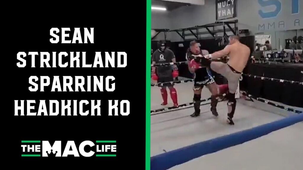 Sean Strickland KO's sparring partner with nasty head kick