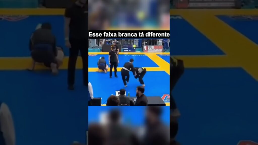 Será que é faixa branca? #jiujitsu #bjj