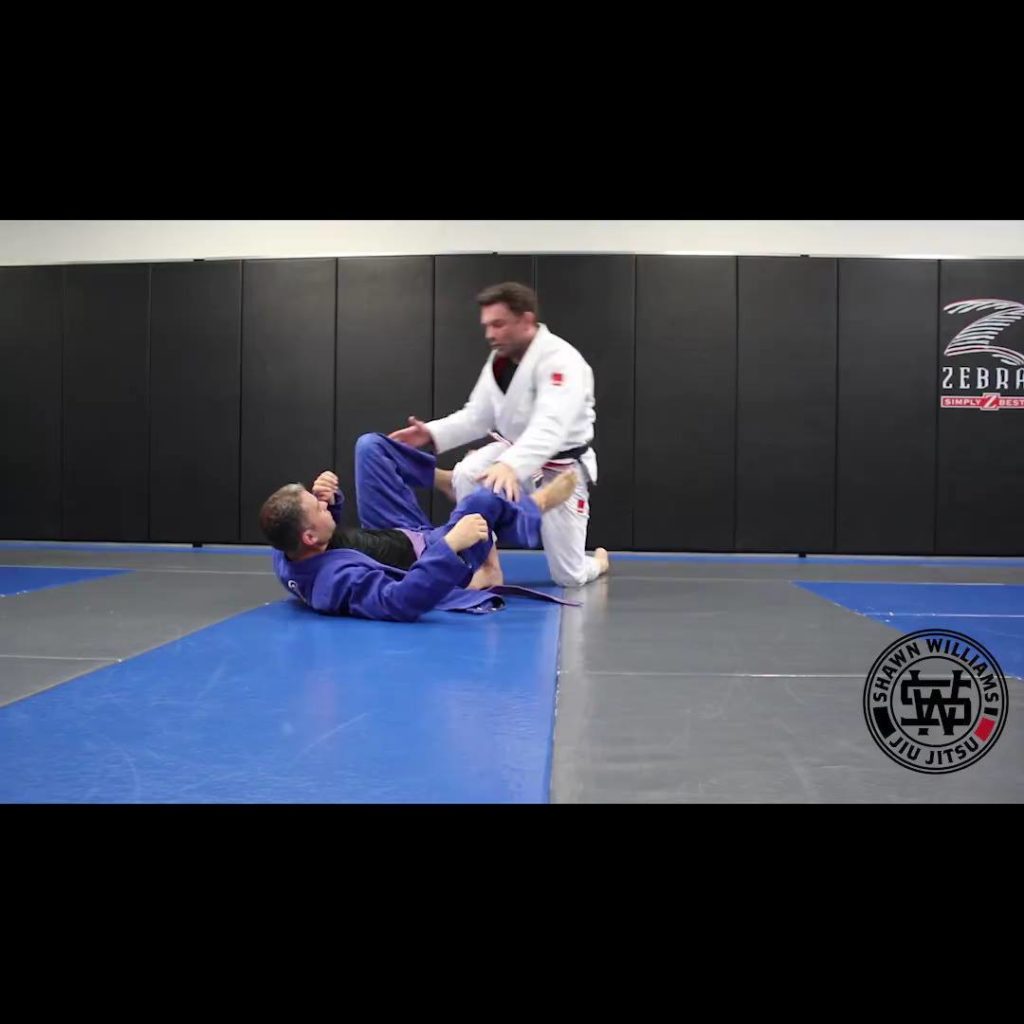 Shawn Williams - Bear Trap DLR Pass