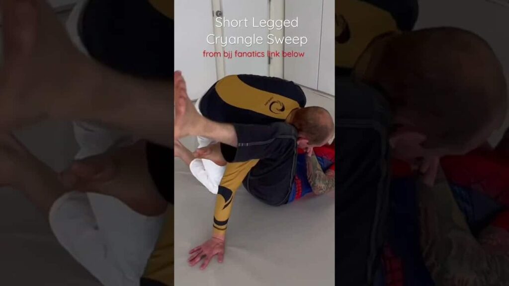 Short Legged Cryangle Sweep!