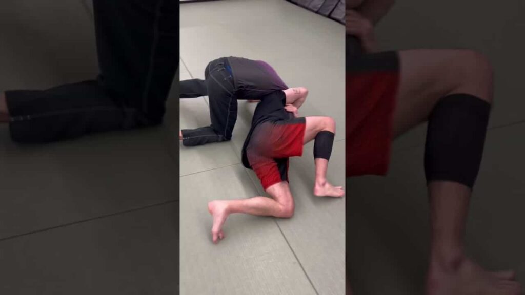 Shoulder Wrap Options