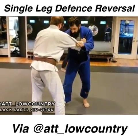 Single Leg Defence Reversal