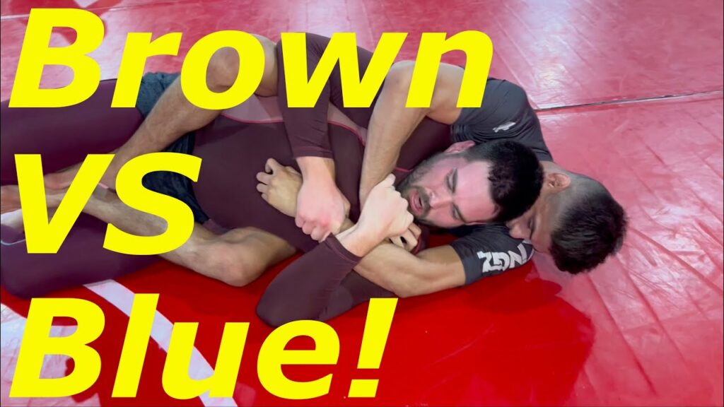 Small BROWN vs BIG Blue! Narrated Roll