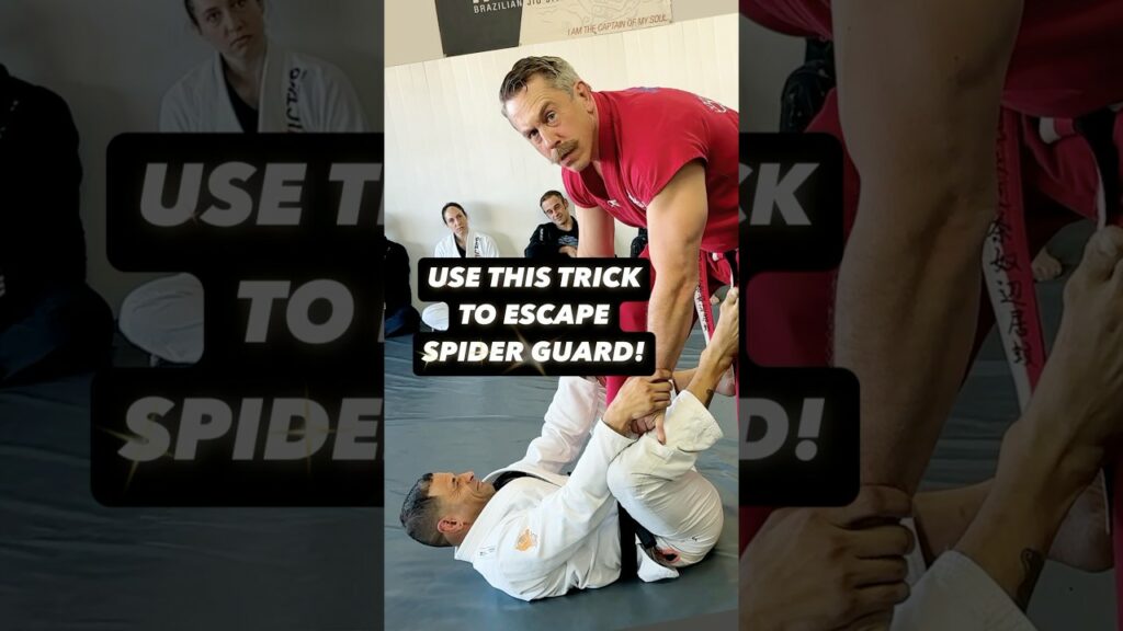 Spider Guard is Useless!  #masterken #bjj