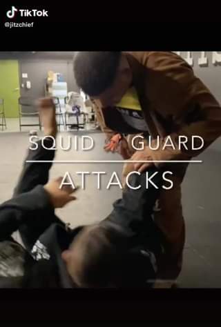 Squid Guard Attacks