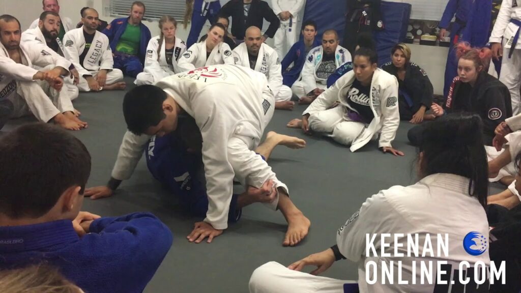 Squid Guard Sweep - Keenanonline.com