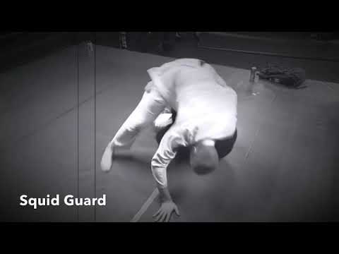 Squid Guard Sweep