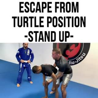 Standing Turtle Position Escapes