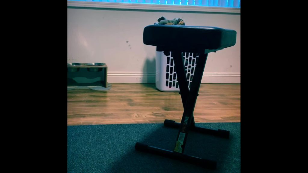 Stay At Home Jiu Jitsu