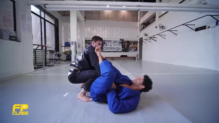 Study of Lasso Guare by Felipe Pena