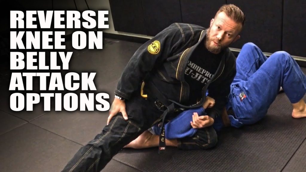 Submission Options from Reverse Knee on Belly