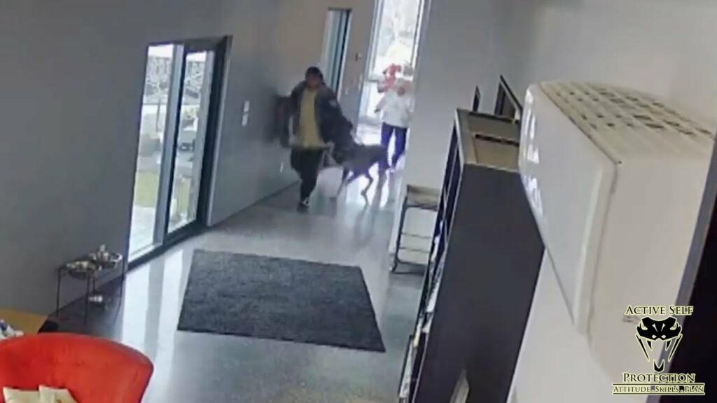 Surveillance System Does Not Equal A Security System