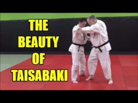 THE BEAUTY OF TAISABAKI  An Analysis of the Movement Pattern Taisabaki