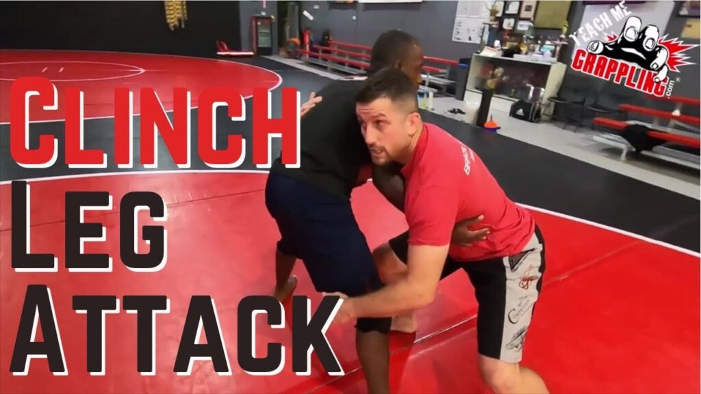 TMG Clips #195 - Clinch To A Leg Attack