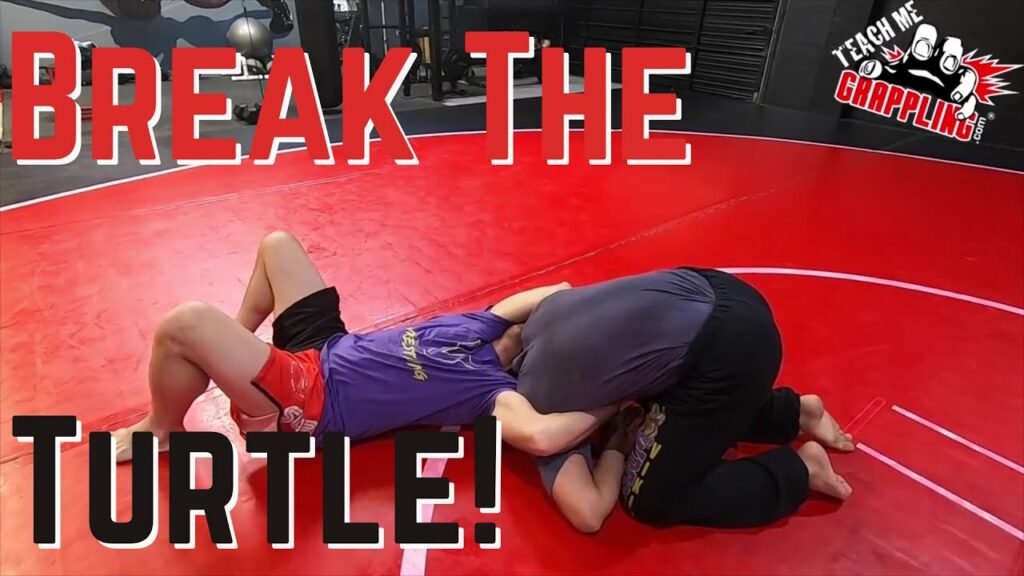 TMG Clips #251 - Open The Turtle!!