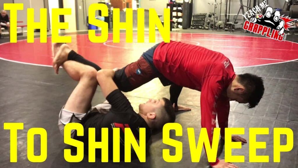 TMG Clips #30 - The Shin To Shin Sweep