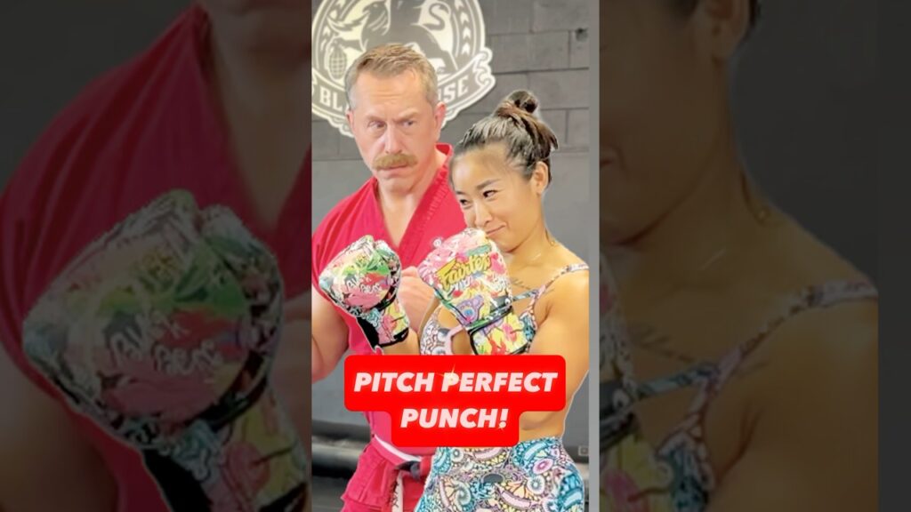 Take Your Punches to the Next Level #masterken #mma #pitchperfect
