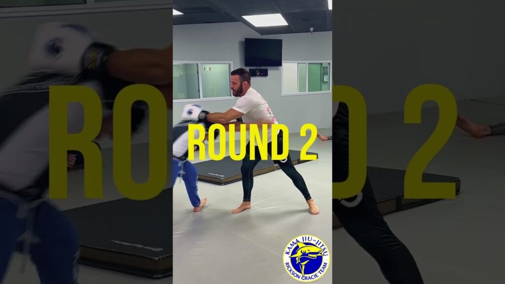 Takedowns Against an Aggressor