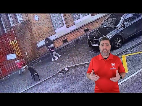 Thank God These Heroes Were Nearby