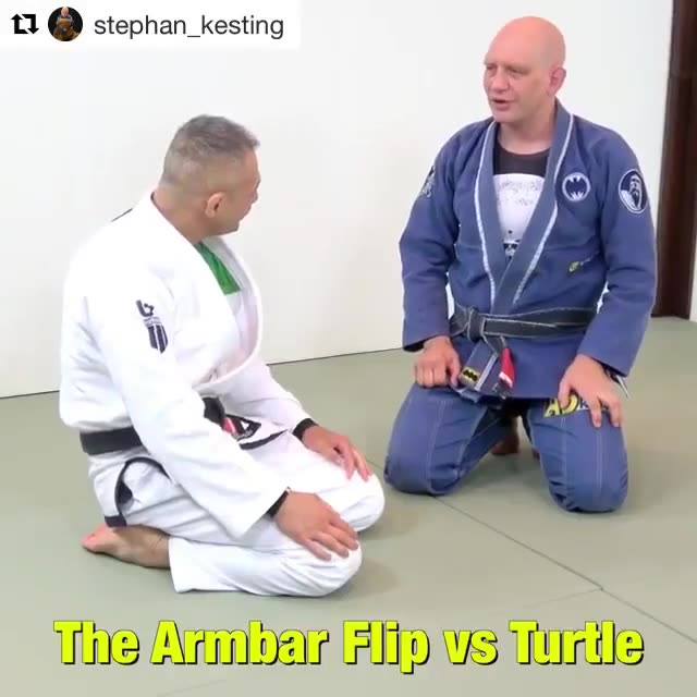 The Armbar Flip vs Turtle