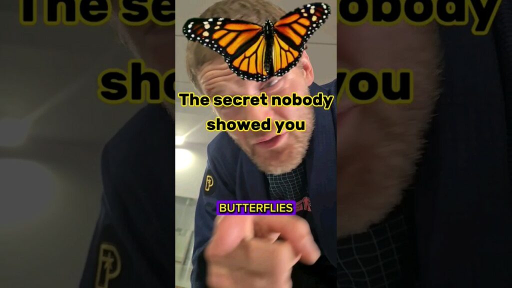 The BJJ secret nobody showed you🥋 #yogaforbjj#bjj#mma#yoga#wrestling#martialarts#ufc#boxing