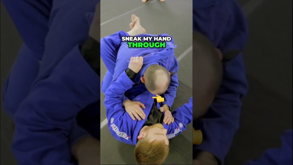 The Invisible Collar Choke