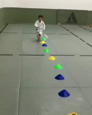 The Jiu Jitsu Future