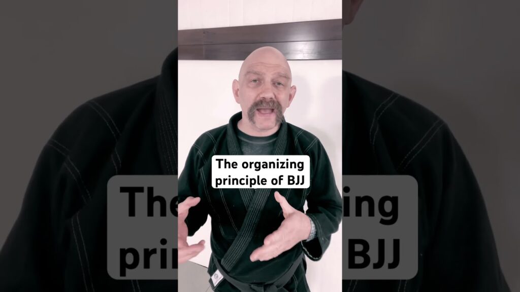 The Key to Understanding BJJ