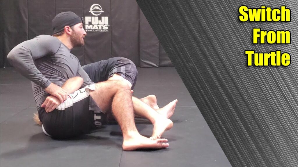 The Switch from Turtle