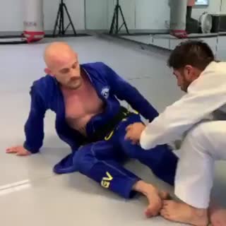 The fly trap by Jeff Glover
 jeffgloverbjj