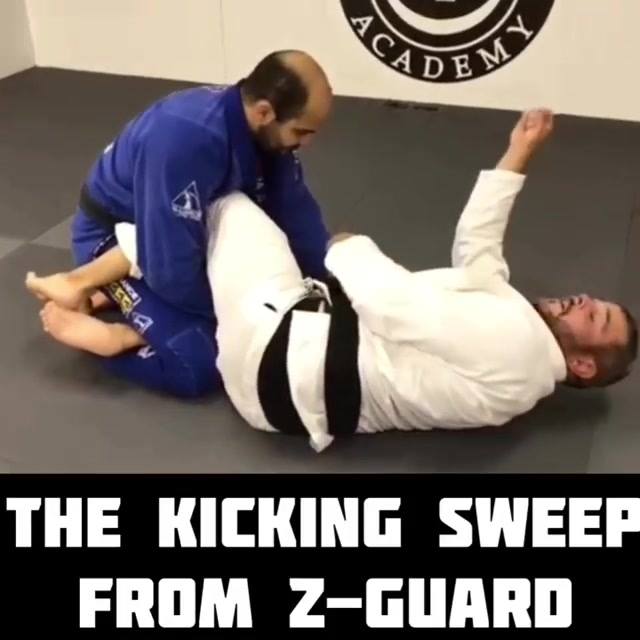 The kicking Sweep from Z Guard