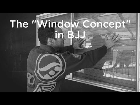 The "Window Concept" in BJJ