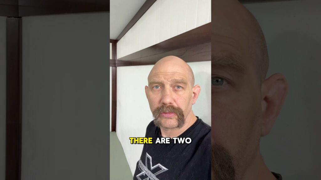 There are two types of jiu-jitsu schools…