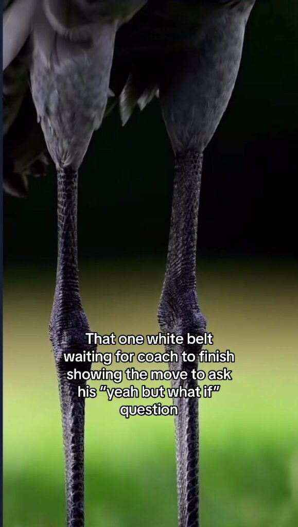 There is one in every class