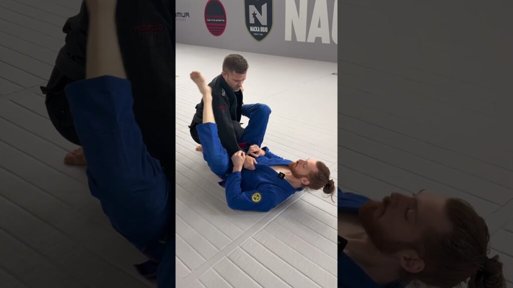 This Armbar Hits So Fast People SREAM Tap