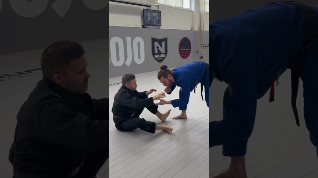 This Passes The Guard Without Even Entering